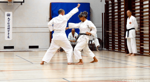 karate © 2knald.com | Kirsten K. Kester