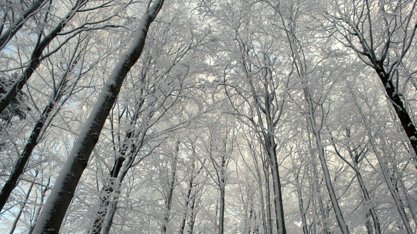 Hverdagens hovedpiner