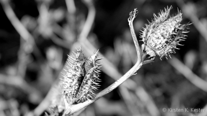 Oplevelser med hovedpine